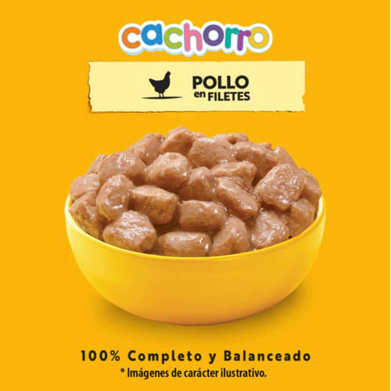 pedigree-alimento-humedo-para-perro-cachorro-pollo-sobre