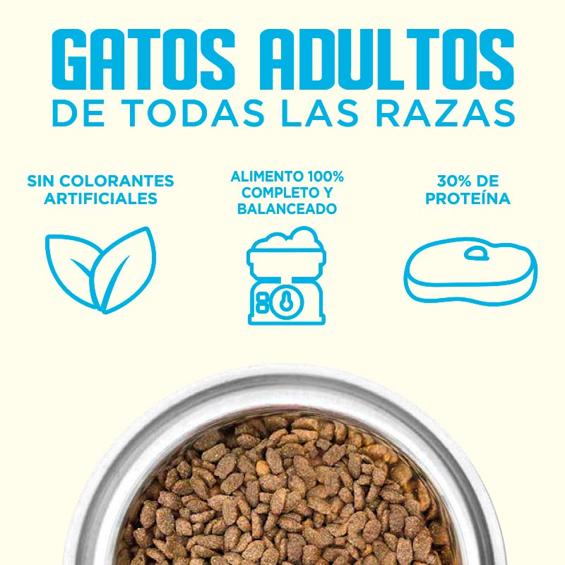 besties-alimento-gatos-adultos