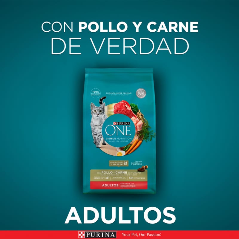 purina-one-gato-adulto-pollo-y-carne
