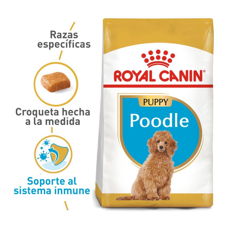 royal-canin-poodle-puppy