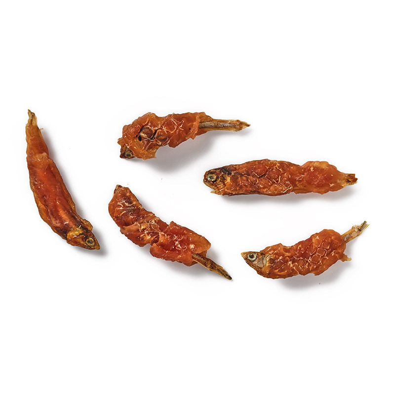 antos-cat-treats-anchovies-chicken
