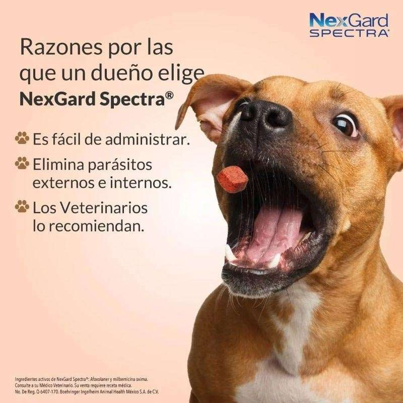 nexgard-spectra-tableta-masticable-para-perros-151-30-kg
