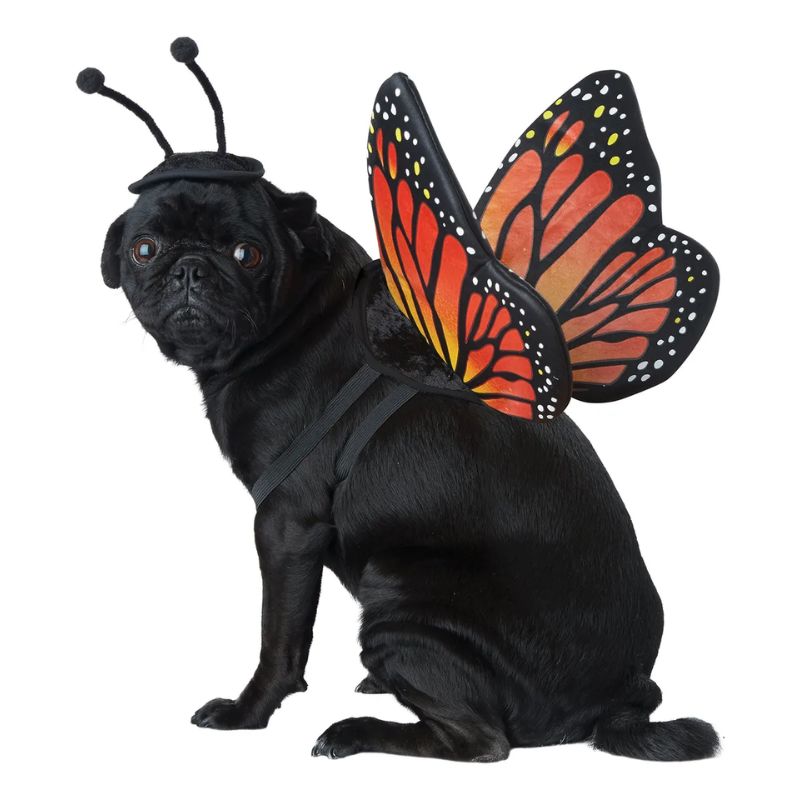 Perrina - Disfraz Mariposa Monarca