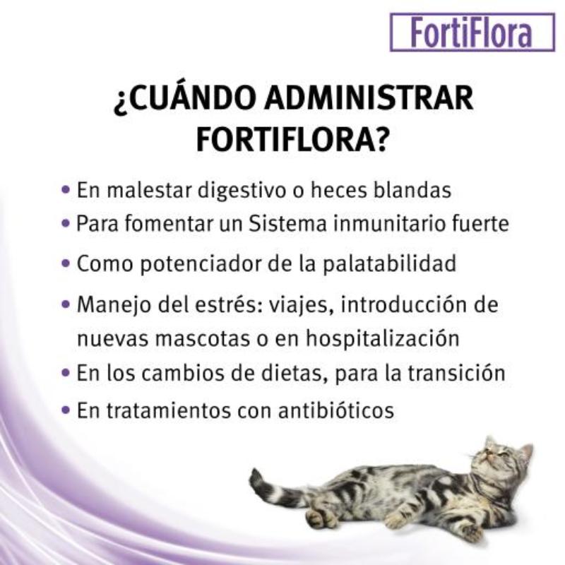 proplan-veterinary-diets-suplemento-gatos