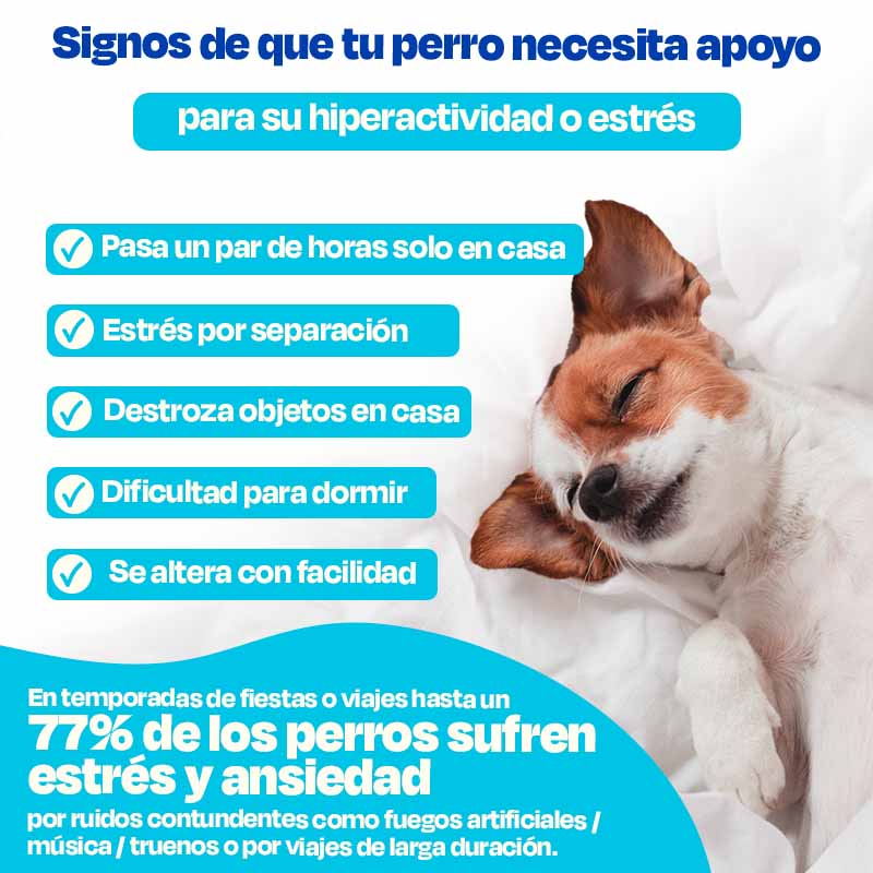 dogelthy-suplemento-para-perro-en-polvo-calming-powder