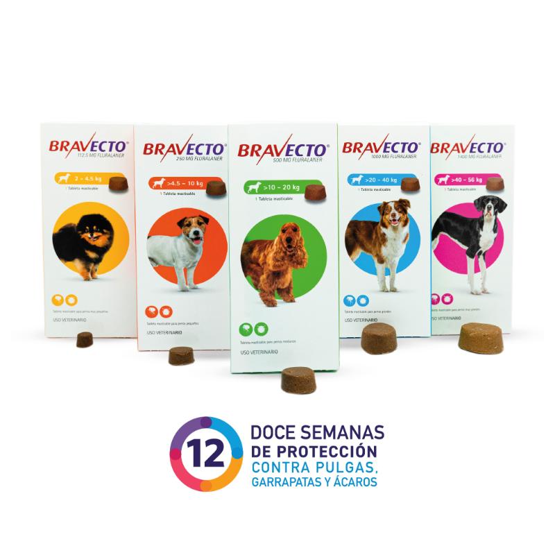 bravecto-perros-de-45-hasta-10-kg