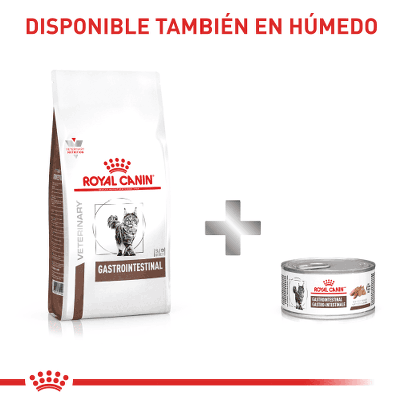 royal-canin-gastro-intestinal-cat