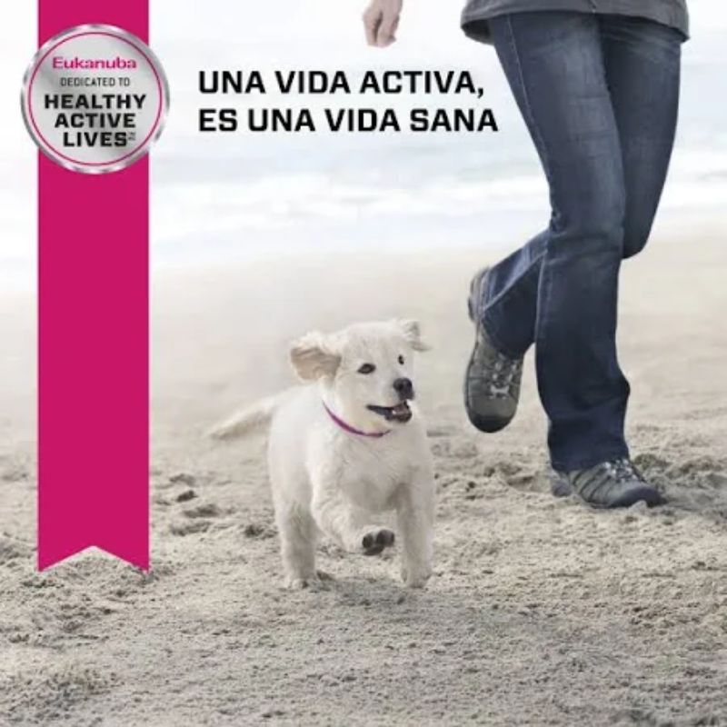 eukanuba-puppy-small-breed