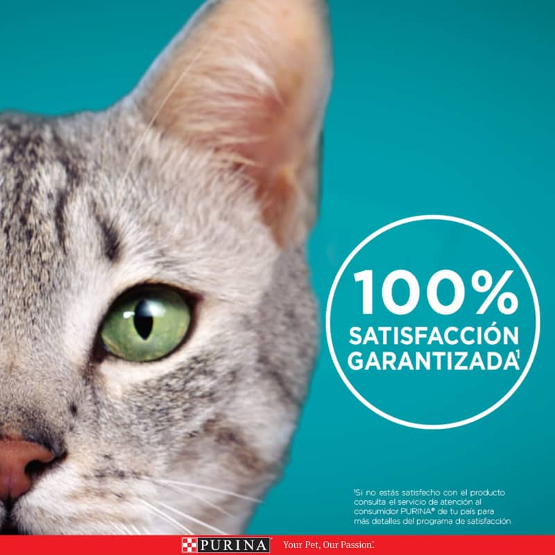purina-one-gato-adulto-pollo-y-carne