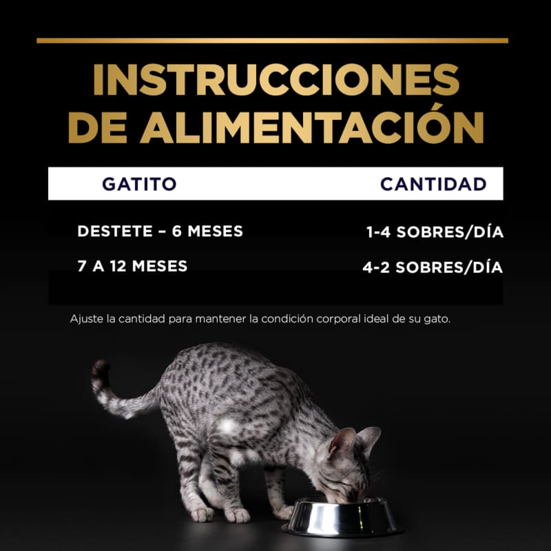 purina-pro-plan-pouch-kitten-wet-pollo