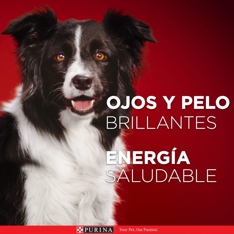 purina-one-cachorros-todos-los-tamanos-pollo-y-carne