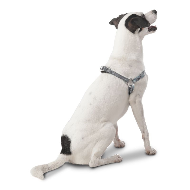 totto-pets-arnes-de-caminata-brunno-gris