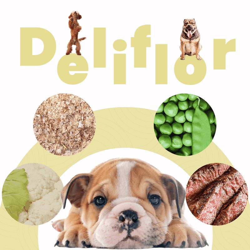 petmeal-sabor-deliflor