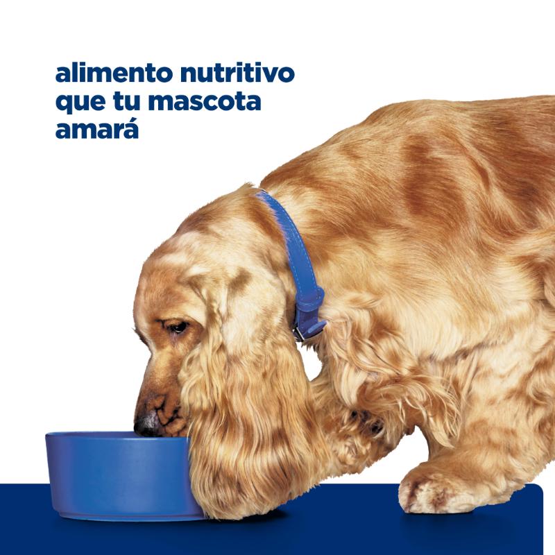 hills-prescription-diet-zd-skinfood-sensitivities-dog