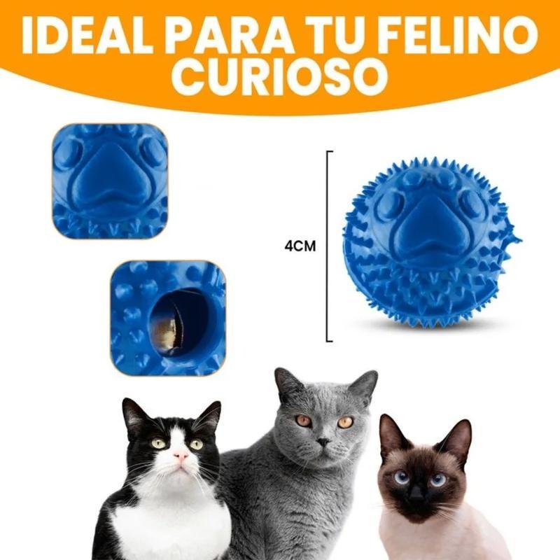 paw-day-pelota-gato