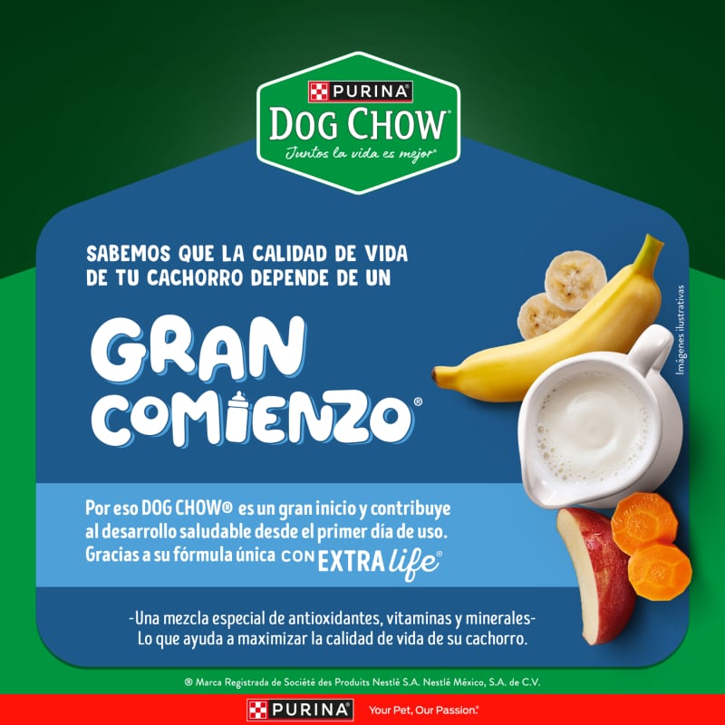 dog-chow-salud-visible-cachorros-medianos-y-grandes