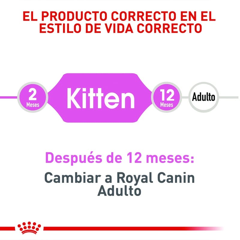 royal-canin-fhn-kitten
