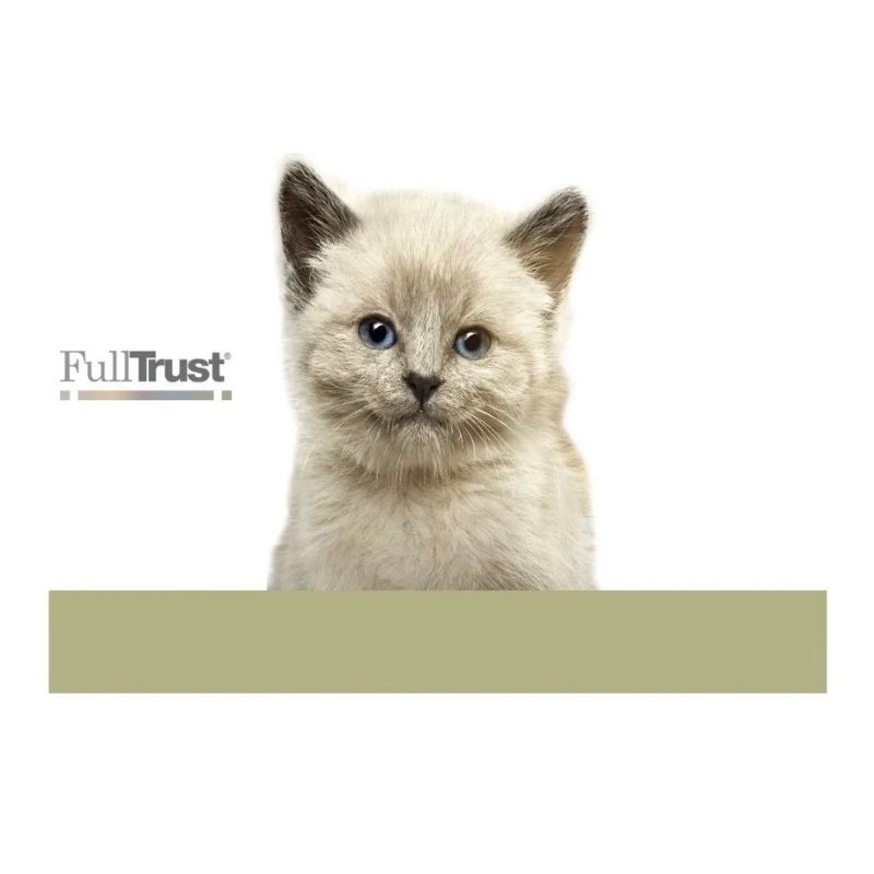 fulltrust-alimento-seco-para-gato-senior-3kg