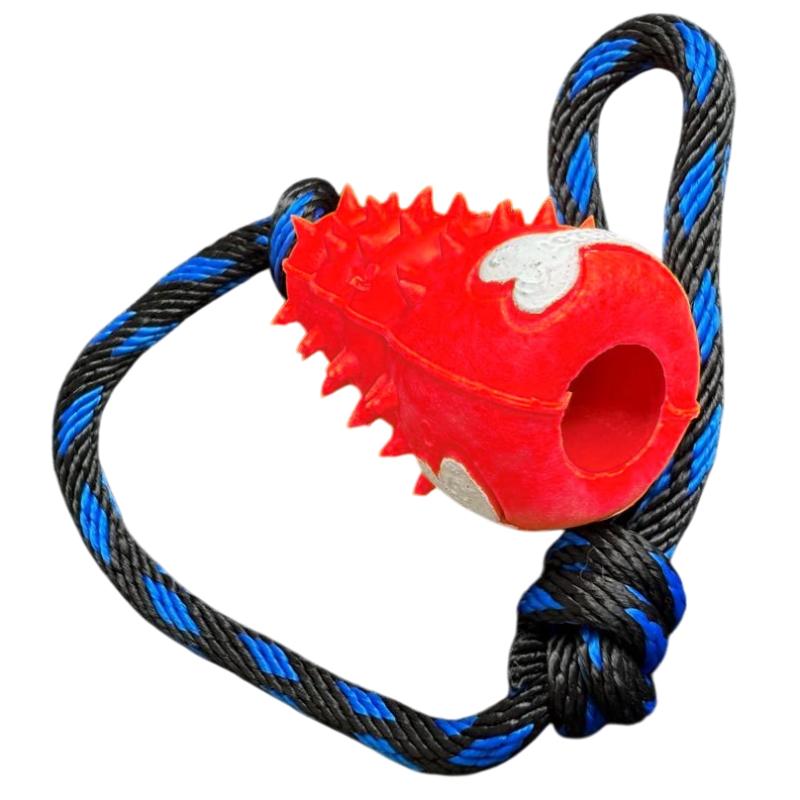 paw-day-kong-lazo