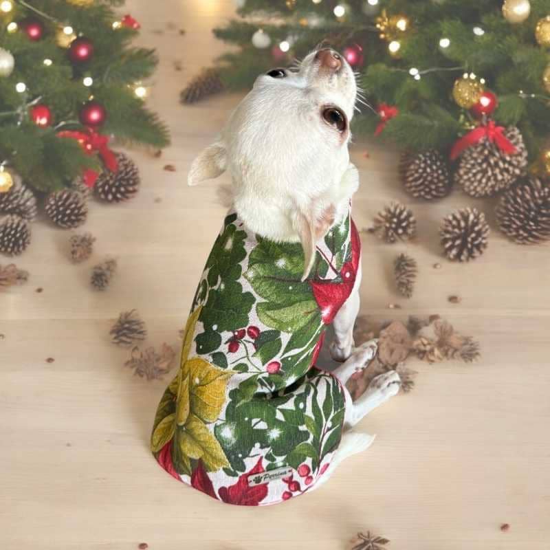 perrina-traje-noche-buena