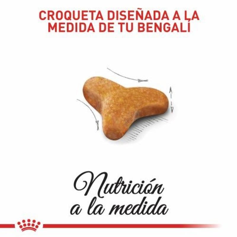 royal-canin-bengali-adulto
