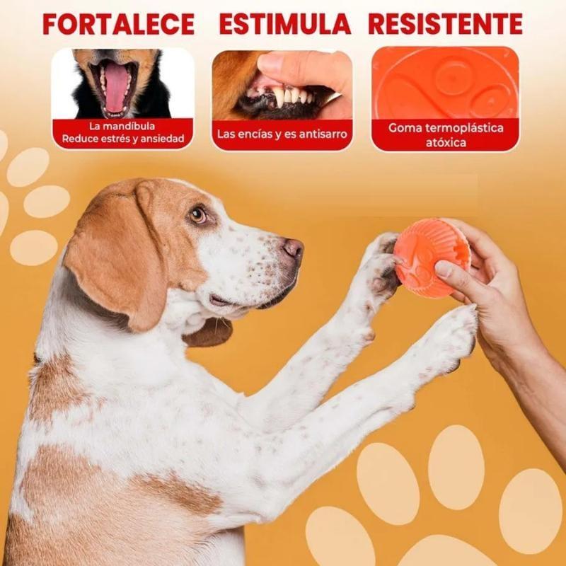 paw-day-pelota-pequena