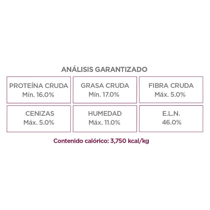 nupec-renal-care