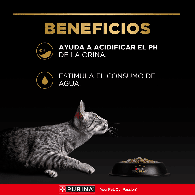 pro-plan-cat-urinary