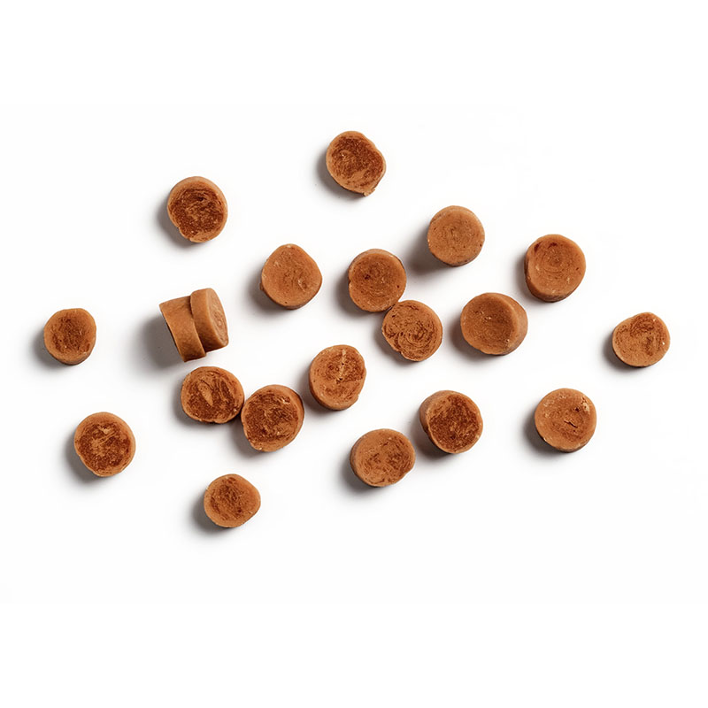 antos-cat-treats-steamed-shrimp
