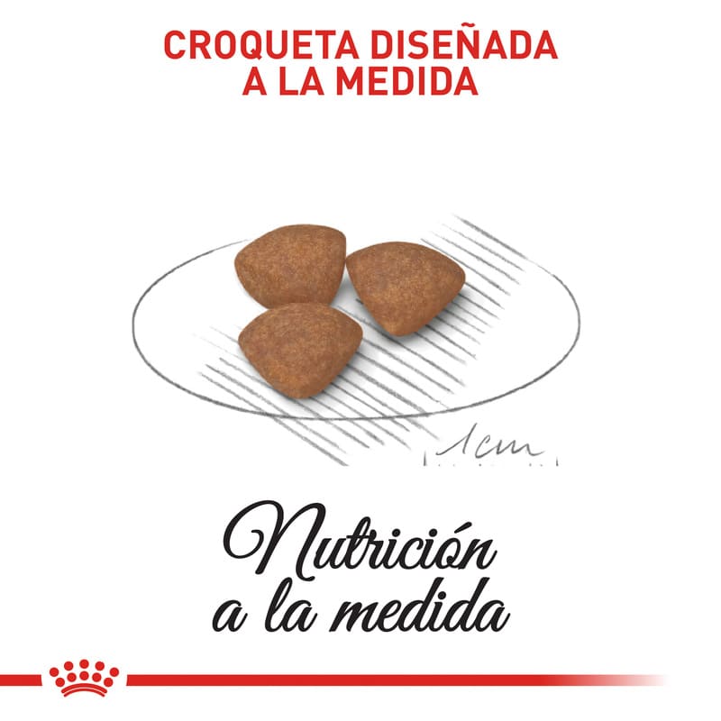 royal-canin-mini-puppy