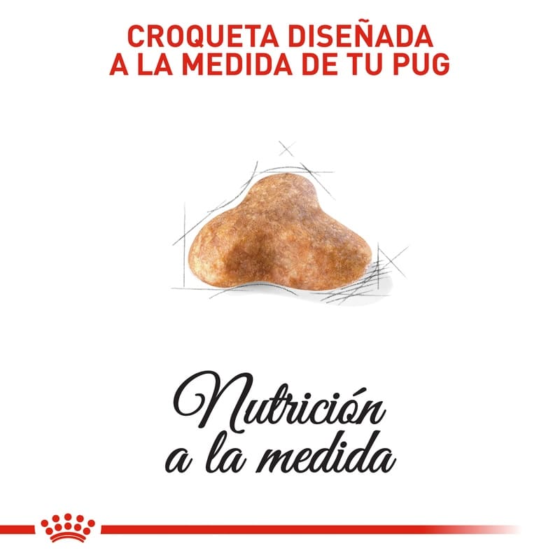 royal-canin-pug-adulto