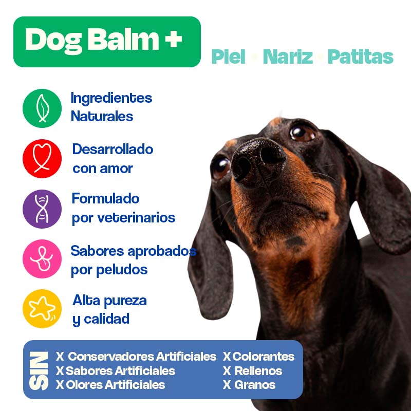dogelthy-balsamo-hidratante-para-patitas-nariz-y-cojinetes