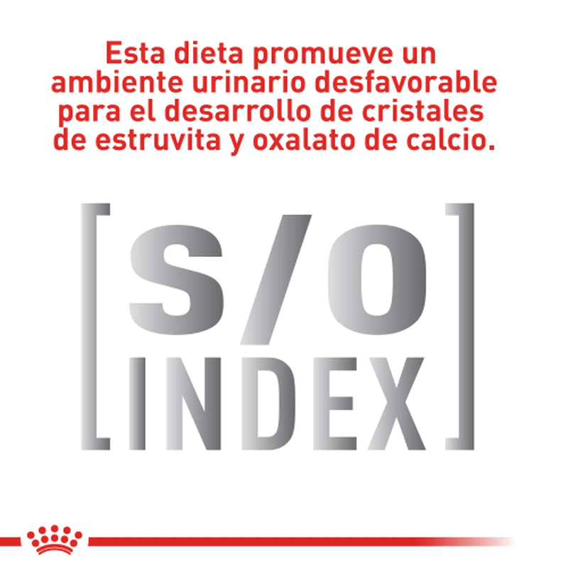 royal-canin-gastro-intestinal-cat