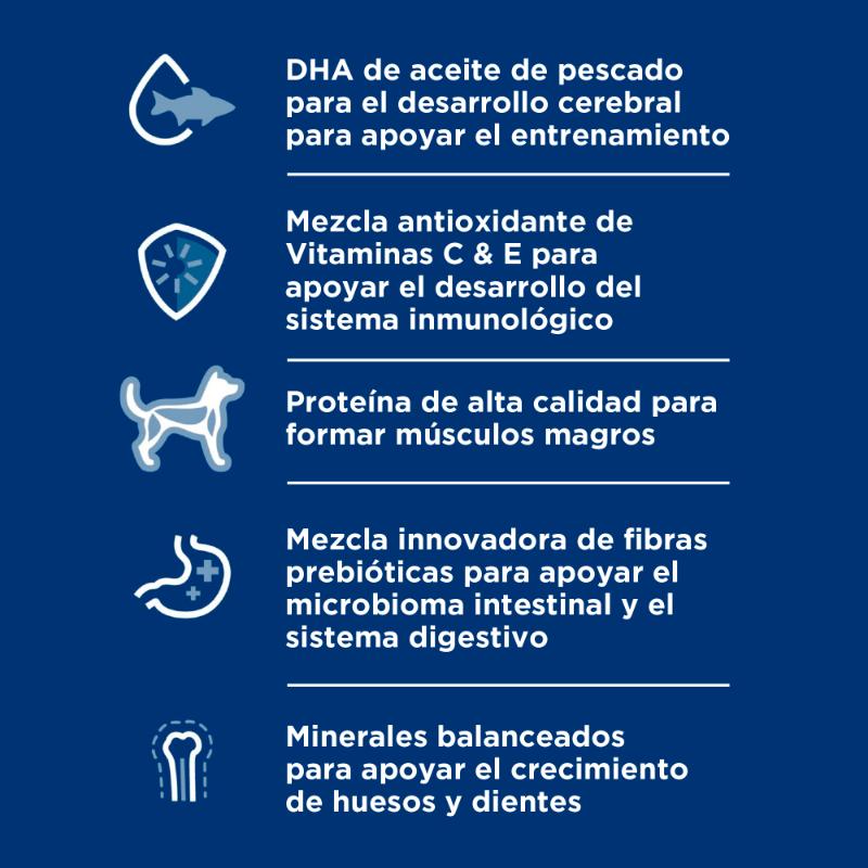 hills-science-diet-kitten-indoor-kitten