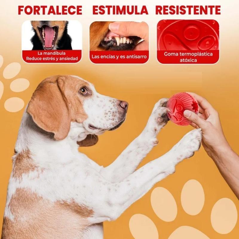 paw-day-pelota-mediana