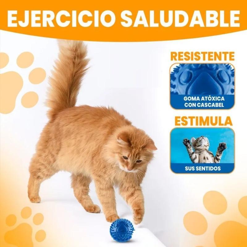 paw-day-pelota-gato