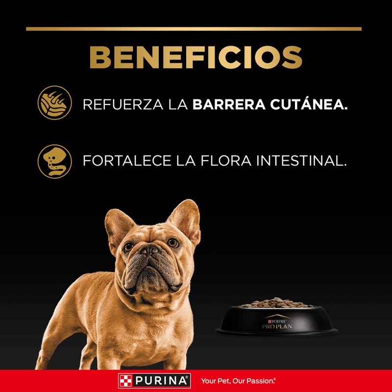 purina-pro-plan-adultos-razas-pequenas
