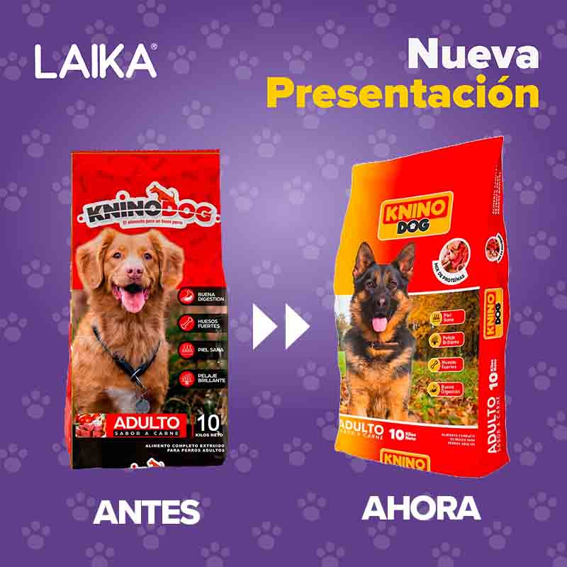 sociedad-comercial-fragus-spa