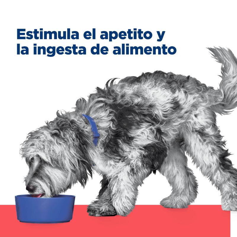 hills-alimento-para-perro-onc-care