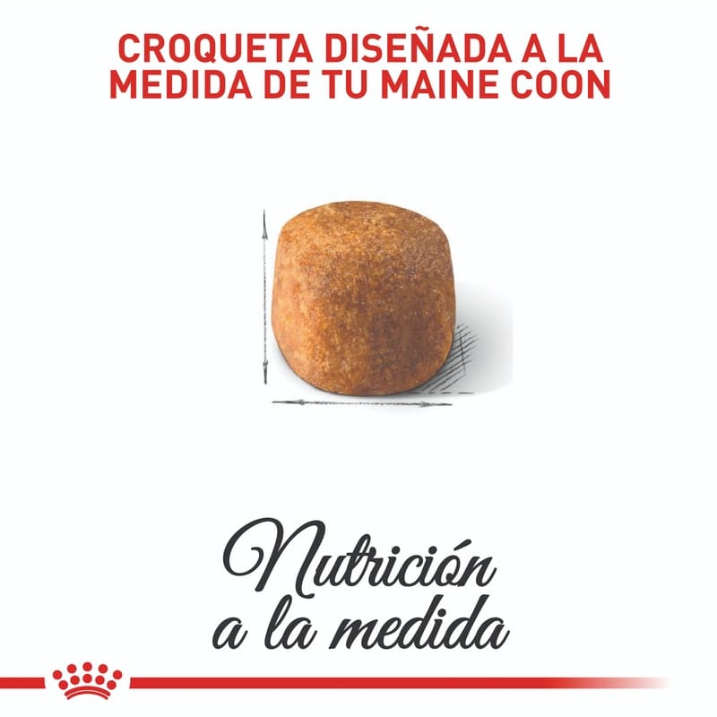 royal-canin-fbn-maine-coon-adult