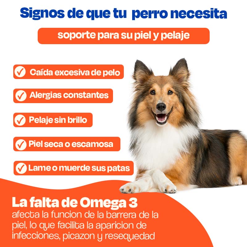 dogelthy-aceite-de-salmon-para-perros-pure-salmon-oil