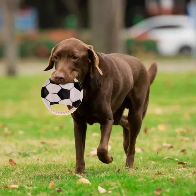 calabaza-pets-frisby-disenos-deportivos