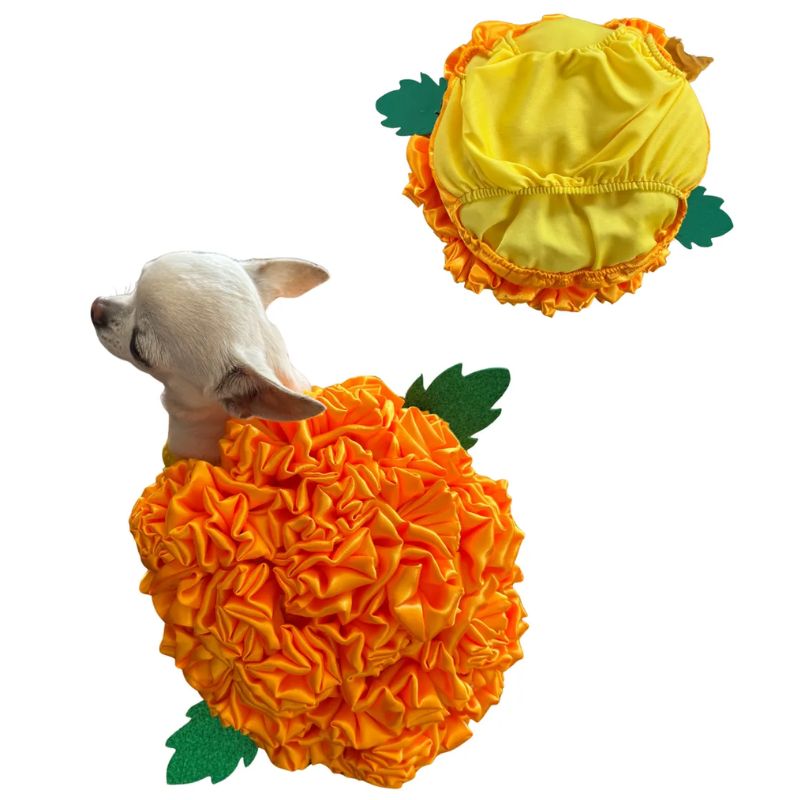 perrina-disfraz-flore-de-cempazuchil