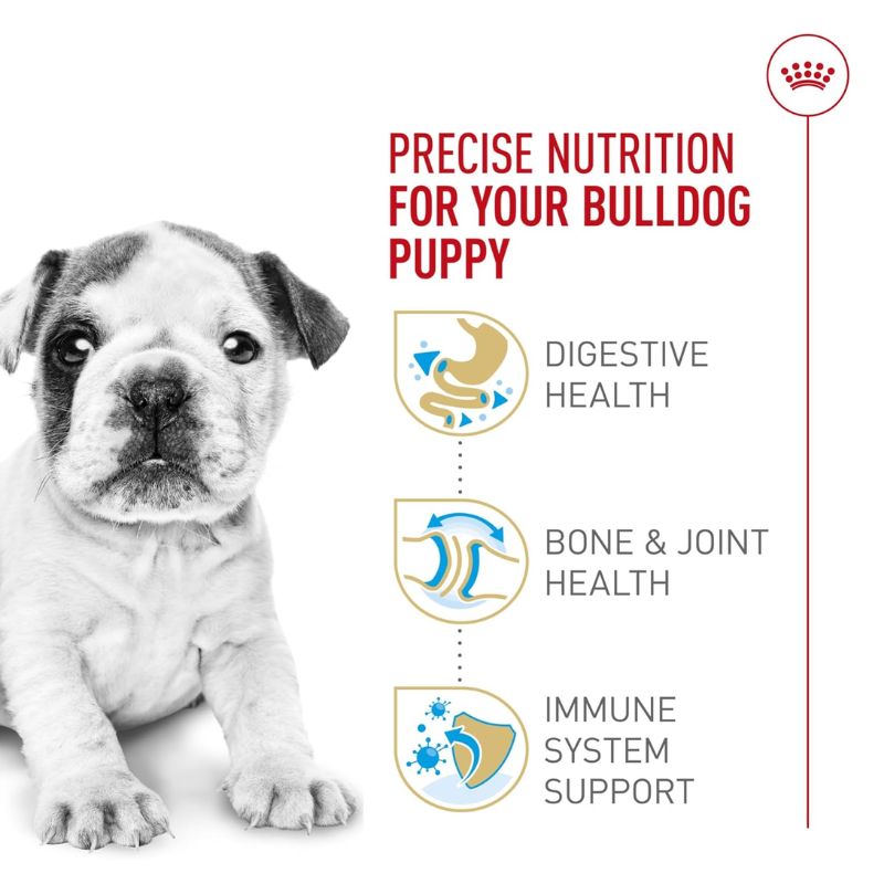 royal-canin-bulldog-ingles-cachorro