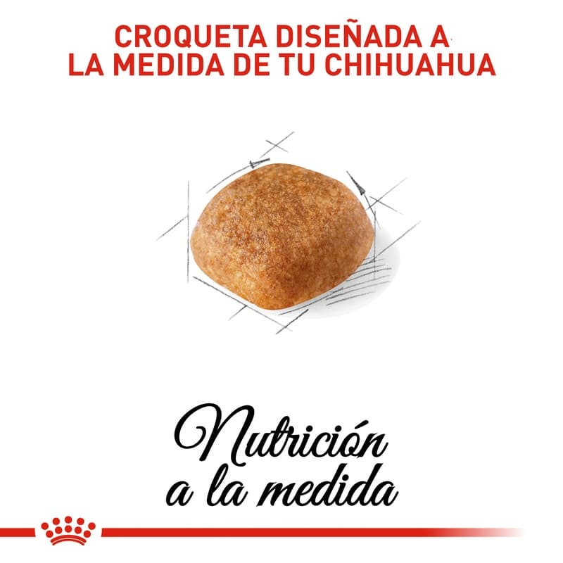 royal-canin-chihuahua-adulto