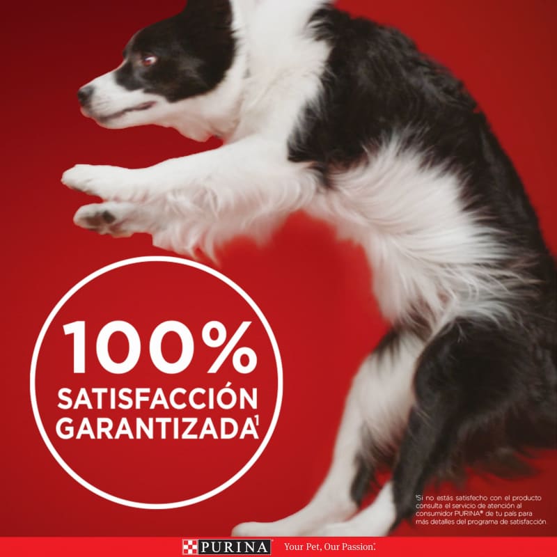 purina-one-cachorros-todos-los-tamanos-pollo-y-carne