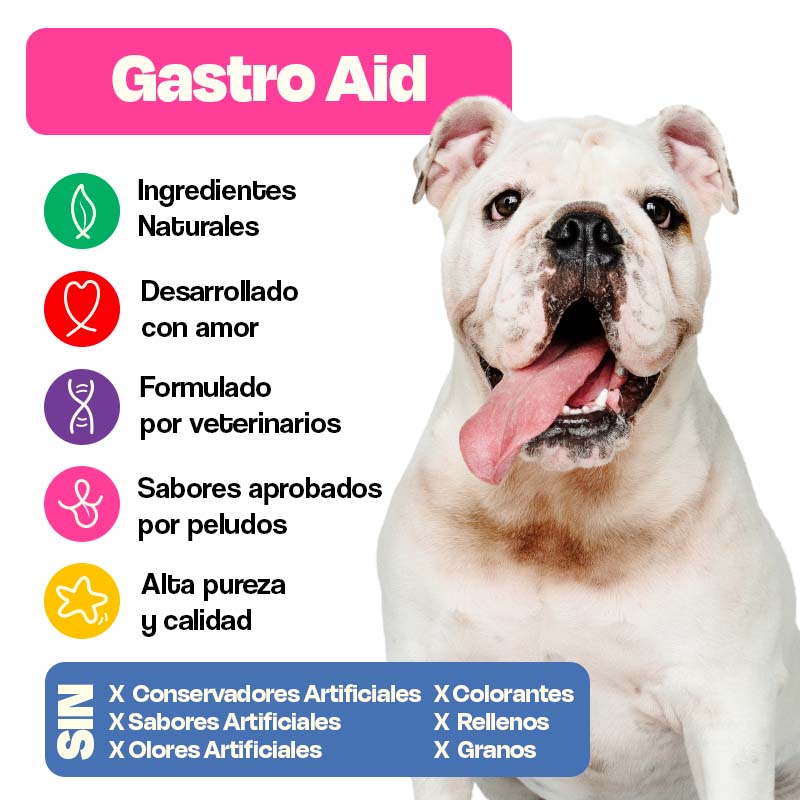 dogelthy-suplemento-para-perro-en-polvo-cuidado-gastrointestinal