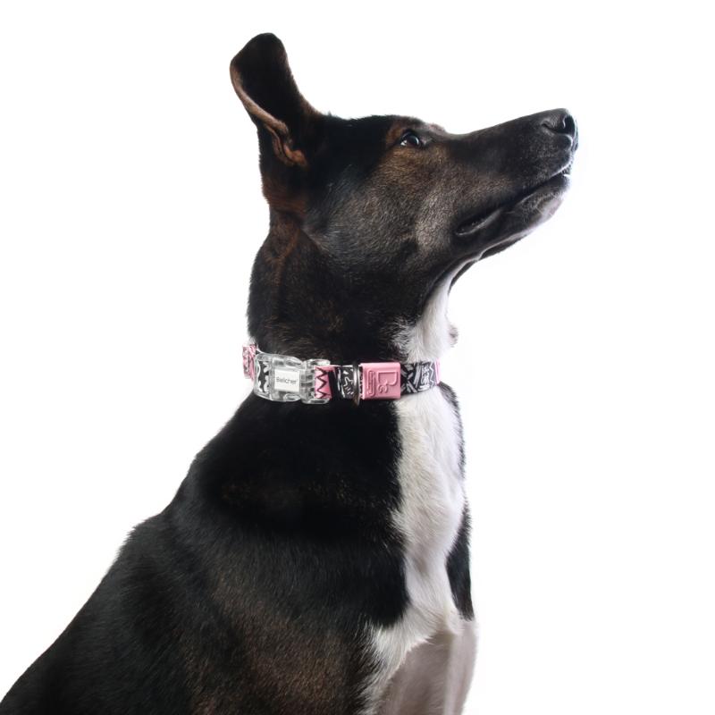 bellcher-collar-martingale-mashmellow-4-cm