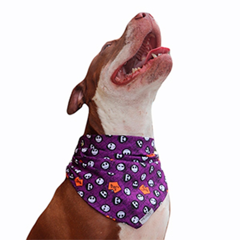 meow-design-panoleta-jack