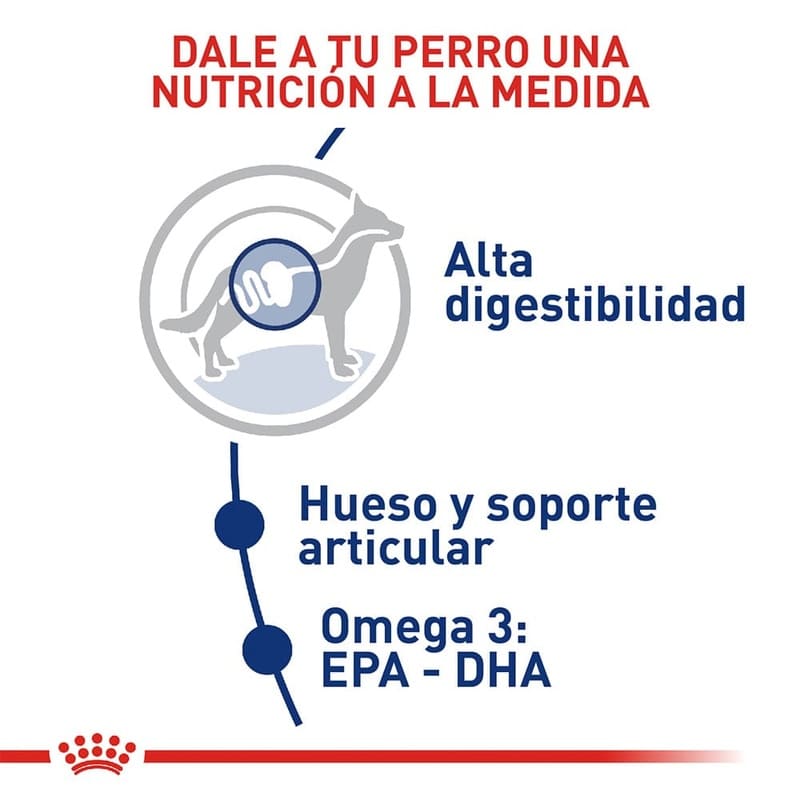 royal-canin-maxi-adult-5